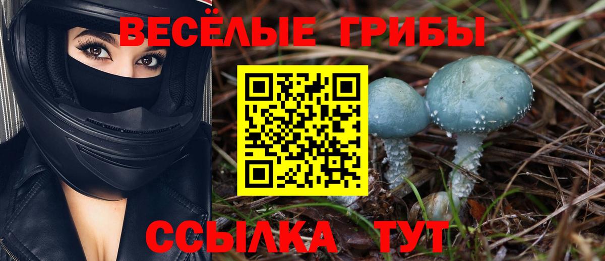 Галлюциногенные грибы ЛСД Симферополь
