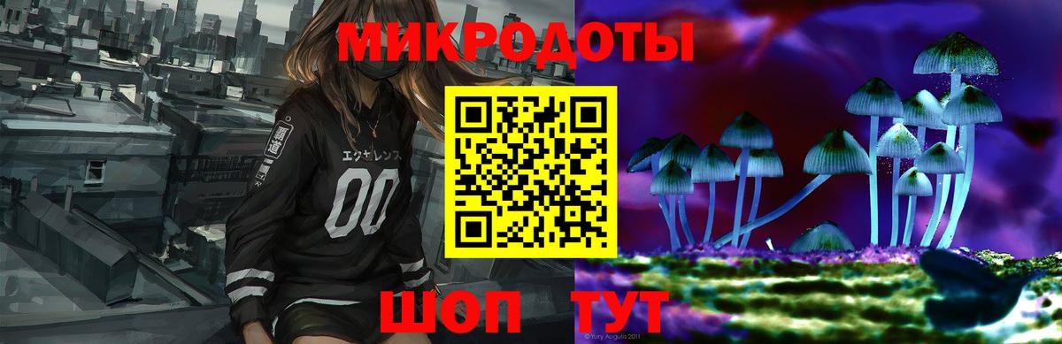 Псилоцибиновые грибы Psilocybine cubensis  где найти   Симферополь  Вход с VPN 